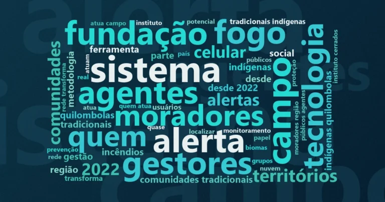Nuvem de palavras com os termos centrais da notícia 'Suindara usa dados de satélite para alertar brigadistas no Cerrado' no Terceiro Setor