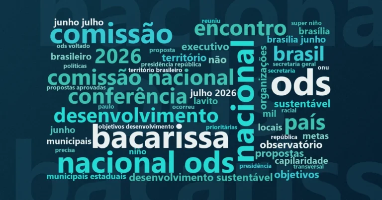 Nuvem de palavras com os termos centrais da notícia 'Terceiro setor é decisivo para avanço da Agenda 2030, diz secretário' no Terceiro Setor