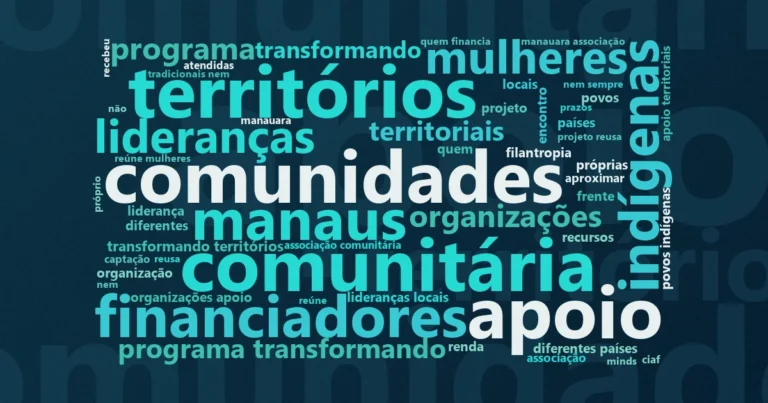 Nuvem de palavras com os termos centrais da notícia 'Fundações comunitárias avaliam confiança e sustentabilidade em evento do IDIS' no Terceiro Setor